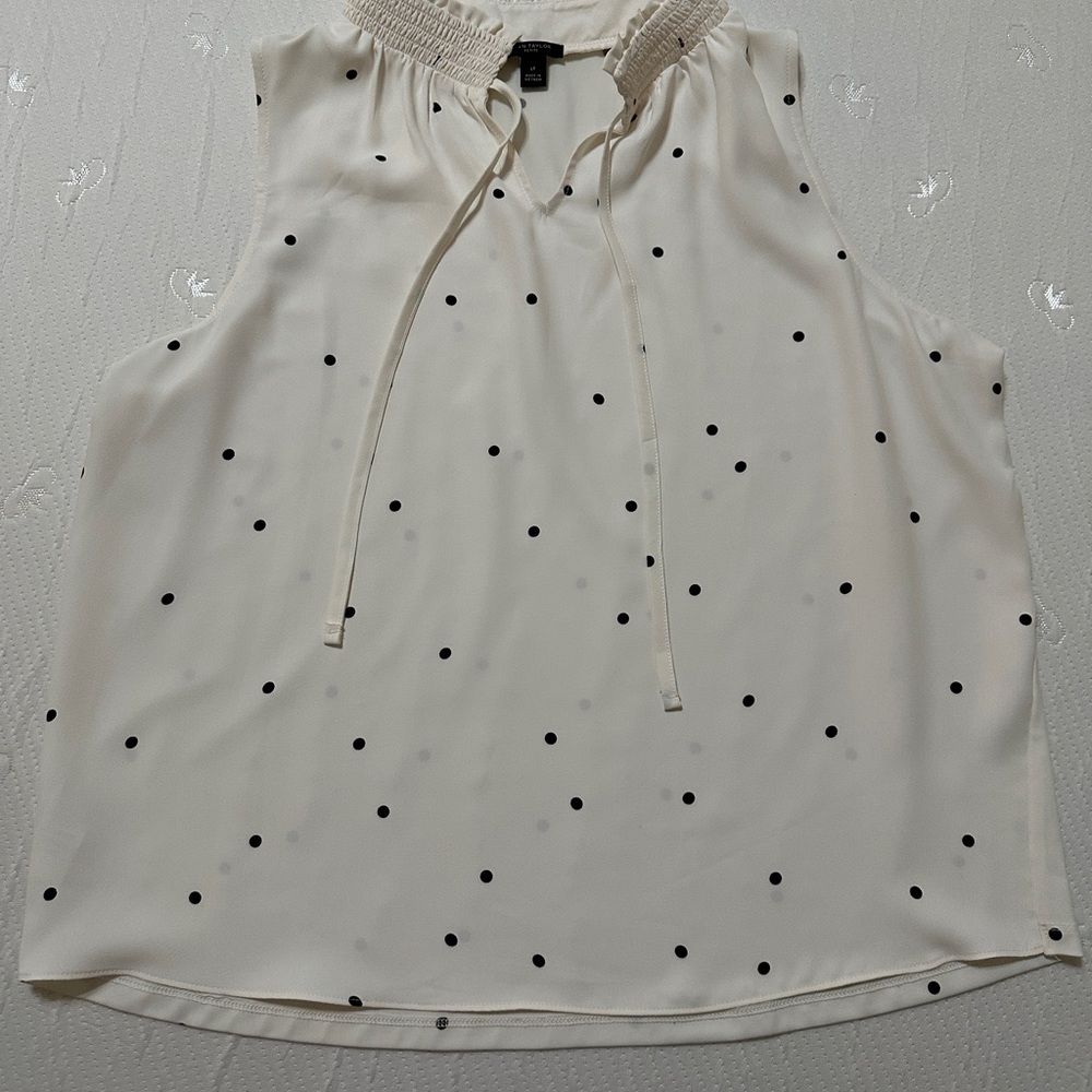 Ann Taylor dress blouse for sale.